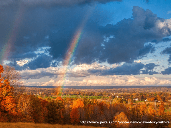 We are sending our best wishes on First Day of Autumn 2024